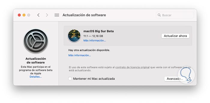 disable microsoft autoupdate mac